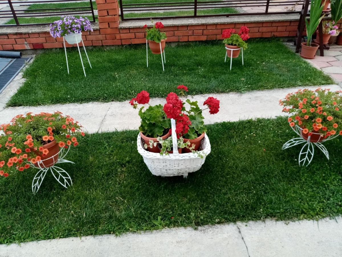 Apartment Elmari Prilep Bagian luar foto
